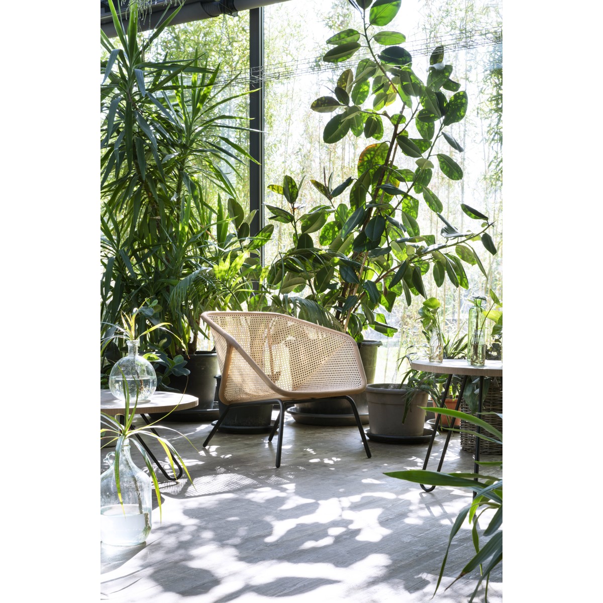 Small Armchair Colony Miniforms Small Armchair Colony Miniforms