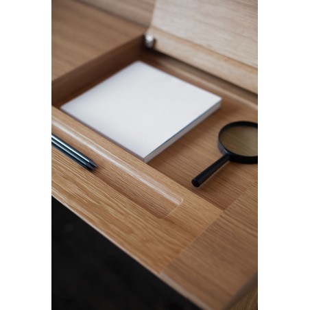 Desk Ernest Punt
